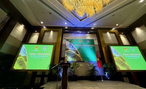 Philippines là đối tác thương mại gạo quan trọng nhất của Việt Nam