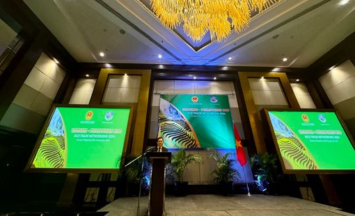 Philippines là đối tác thương mại gạo quan trọng nhất của Việt Nam