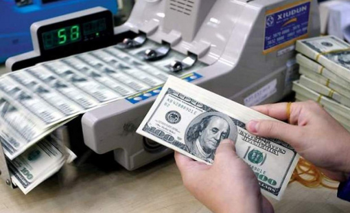 Thống đốc Nguyễn Thị Hồng: Sẽ kịp thời can thiệp bán ngoại tệ nếu cần thiết