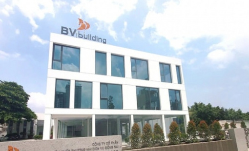 Vừa phải giải trình vì cổ phiếu tăng 45% sau 5 phiên trần liên tục, công ty cũ của Vinaconex chứng kiến cú "cắm đầu"