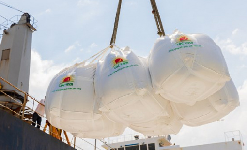 Giá gạo xuất khẩu của Ấn Độ ổn định gần mức thấp nhất trong 15 tháng