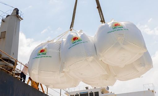 Giá gạo xuất khẩu của Ấn Độ ổn định gần mức thấp nhất trong 15 tháng