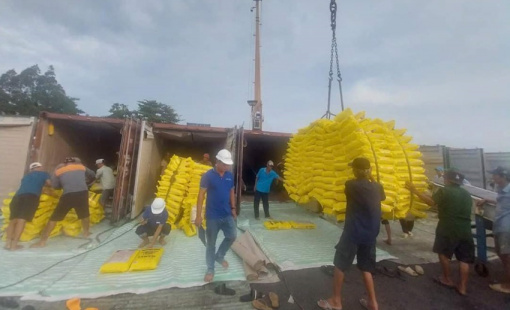 Pakistan muốn tăng xuất khẩu vào Philippines, thị phần gạo Việt có bị ảnh hưởng?