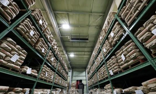 Giá gạo Nhật Bản thiết lập kỷ lục mới