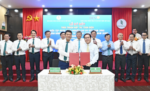 BIDV và VRG hợp tác toàn diện giai đoạn 2024 - 2029