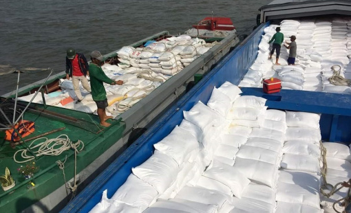 Xuất khẩu gạo đạt kỷ lục về lượng và kim ngạch, doanh nghiệp vẫn "xoay vòng" trong khó khăn