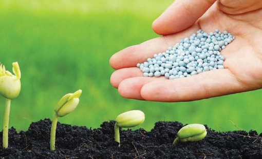 Những doanh nghiệp sẽ được hưởng lợi khi phân bón chính thức chịu thuế VAT 5%
