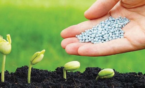 Những doanh nghiệp sẽ được hưởng lợi khi phân bón chính thức chịu thuế VAT 5%
