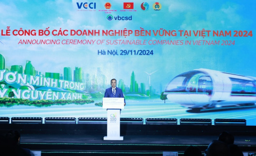 Phát triển thị trường carbon là chìa khóa giúp Việt Nam ứng phó với biến đổi khí hậu