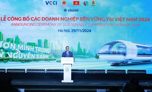 Phát triển thị trường carbon là chìa khóa giúp Việt Nam ứng phó với biến đổi khí hậu