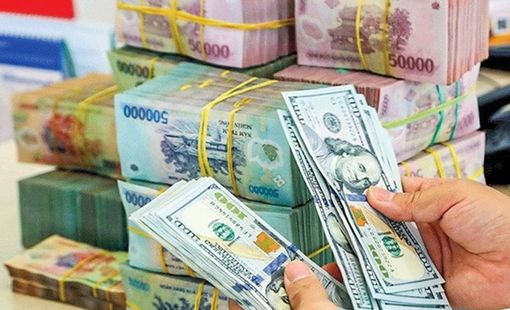 Ông Trump thắng cử, VND đối mặt với áp lực giảm giá lớn hơn