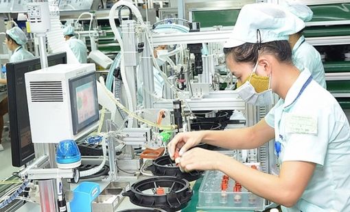 Doanh nghiệp thành lập mới trong tháng 10 tăng cả lượng và chất