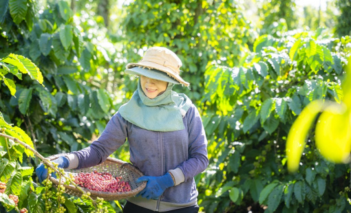 NESCAFÉ Plan được vinh danh ở hạng mục “Giải thưởng năm” Human Act Prize