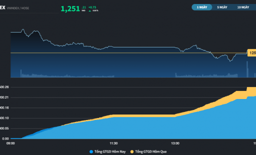 Thị trường chênh vênh ở mốc 1.250 điểm