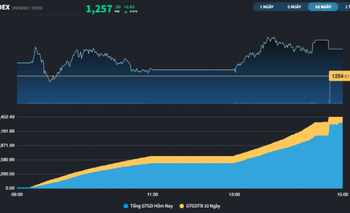Thị trường xuất hiện sóng Midcap và Penny