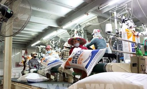 Giá gạo giảm trên thị trường châu Á