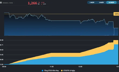 Đóng cửa tại 1.266 điểm, chỉ số VN-Index tăng 12,11% trong năm 2024