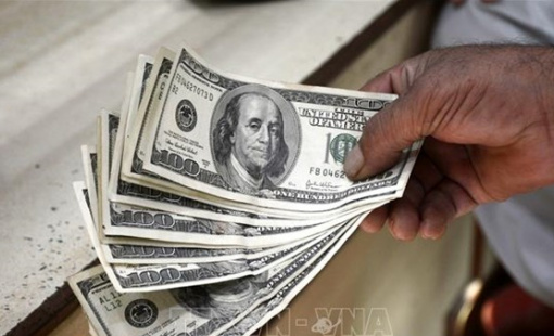 USD lên ngôi trong năm 2024