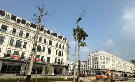 Việt Nam lọt top quốc gia có tỷ lệ sở hữu bất động sản cao nhất thế giới