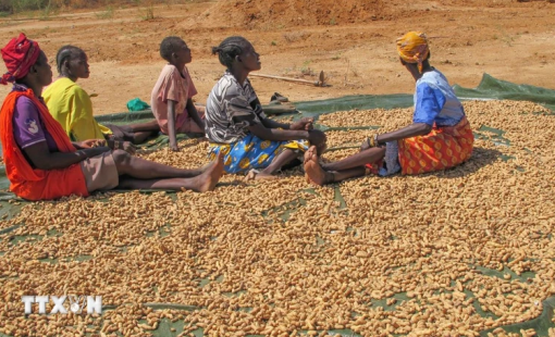 Ngân hàng Thế giới bổ sung vốn kỷ lục lên đến 100 tỷ USD cho phát triển toàn cầu