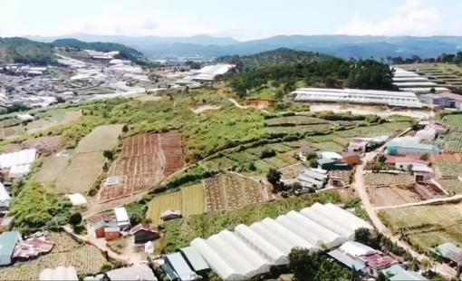 Lâm Đồng chỉ đạo gỡ vướng cho dự án 37,5ha của Tổng công ty HUD