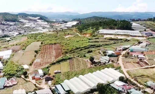Lâm Đồng chỉ đạo gỡ vướng cho dự án 37,5ha của Tổng công ty HUD