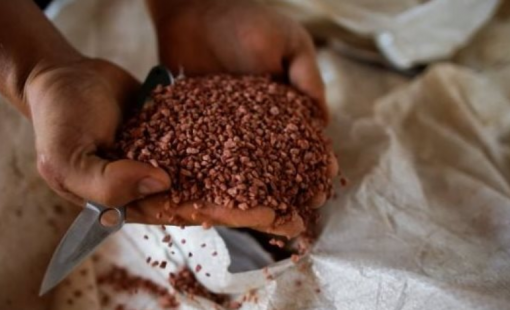 Giá cực rẻ, mặt hàng này từ Thái Lan về Việt Nam tăng gấp 3 lần, là cứu tinh giúp Việt Nam 'hốt bạc' từ Trung Quốc