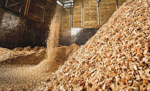 Ấn Độ liên tục đổ tiền mua sản phẩm này từ Việt Nam: Nhiều cường quốc ưa chuộng, là số ít mặt hàng mang về hơn 1 tỷ USD trong tháng 1/2024