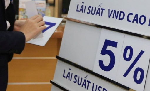 Chuyên gia Nguyễn Trí Hiếu: Khó đạt được mục tiêu tăng trưởng tín dụng 15% trong năm 2024