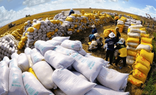 Xuất hiện 1 "cá mập" mua gạo Việt với giá hơn 1.000 USD/tấn: Soán ngôi Trung Quốc trở thành khách hàng lớn thứ 2, nhập khẩu tăng hơn 16.000%