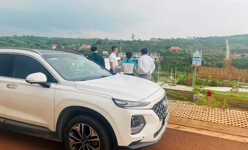 Những tuổi kinh doanh bất động sản tốt nhất năm 2024, đặc biệt con giáp này nếu bỏ tiền vào đất sẽ 'đụng đâu thắng đó'