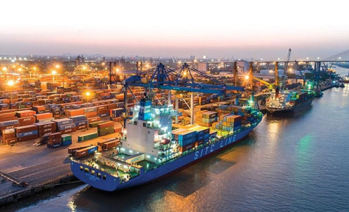 Lợi nhuận gộp năm 2023 của Cảng Đình Vũ đạt 227 tỷ đồng, giảm 26,7% so với năm 2022