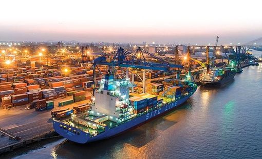 Lợi nhuận gộp năm 2023 của Cảng Đình Vũ đạt 227 tỷ đồng, giảm 26,7% so với năm 2022