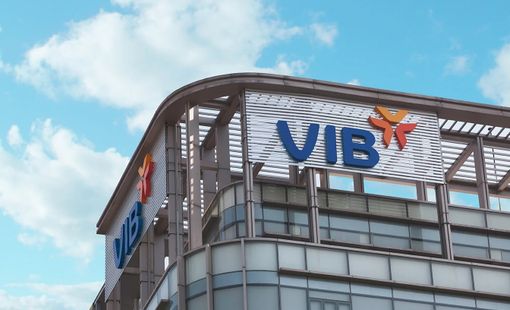 VIB dự kiến chia cổ tức 29,5%