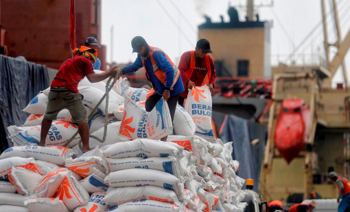 Giá gạo thế giới bắt đầu giảm nhưng thị trường lớn thứ 2 của Việt Nam cao chót vót - cơ hội xuất khẩu rộng mở