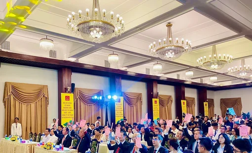 Tập đoàn Hoa Sen lên 2 phương án kinh doanh, thông qua chủ trương tái cấu trúc