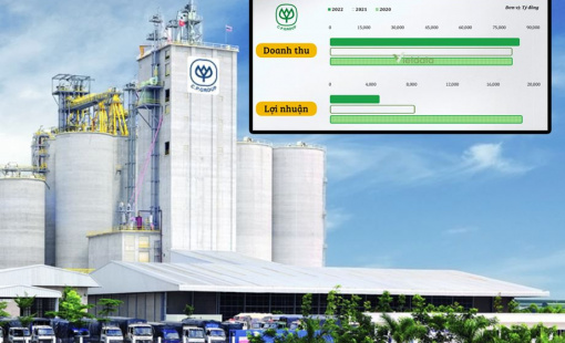 C.P. Việt Nam: doanh thu tăng tiến, lợi nhuận giảm sâu