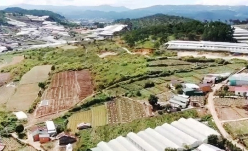 Giao dịch đất nền ở Đà Lạt giảm mạnh