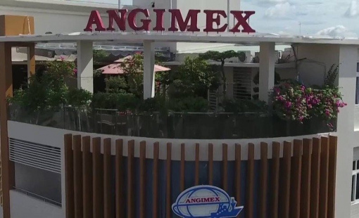 Mới được "cởi trói" không lâu, cổ phiếu AGM lại bị HoSE đưa vào diện kiểm soát