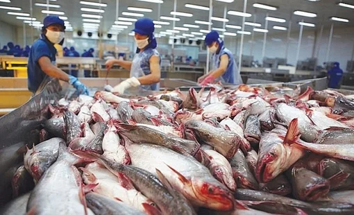 Xuất khẩu thủy sản 2 tháng đầu năm đạt trên 1,3 tỷ USD