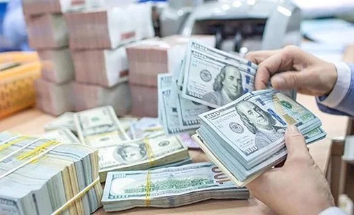 Nhiều ngân hàng Việt lên kế hoạch hút dòng vốn ngoại