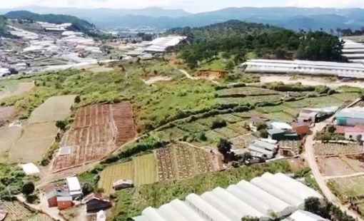Diễn biến mới tại dự án gần 1.500 tỷ đồng của Trung Nam ở Lâm Đồng