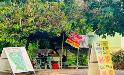 3 tháng đầu năm, cả khu vực phía Nam chỉ có 70 lô đất được giao dịch thành công