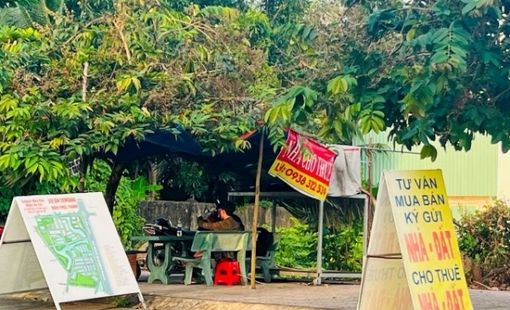 3 tháng đầu năm, cả khu vực phía Nam chỉ có 70 lô đất được giao dịch thành công