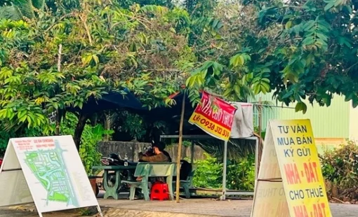 3 tháng đầu năm, cả khu vực phía Nam chỉ có 70 lô đất được giao dịch thành công