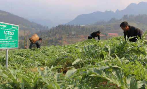 ĐHĐCĐ Traphaco: Không thể trì hoãn việc nâng cấp nhà máy chuẩn EU-GMP, phát triển thêm mảng tân dược