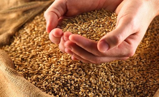 Ấn Độ cấm xuất khẩu, một mặt hàng của Việt Nam lên cơn sốt ở nhiều nước châu Á: Indonesia tăng nhập khẩu 300%, thu về hơn 1,4 tỷ USD