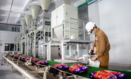 Lợi nhuận của Hóa chất Đức Giang xuống đáy 10 quý