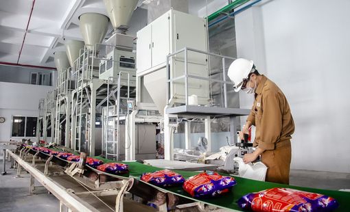 Lợi nhuận của Hóa chất Đức Giang xuống đáy 10 quý