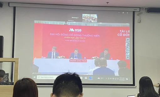 ĐHĐCĐ MSB: Để ngỏ khả năng tìm nhà đầu tư chiến lược